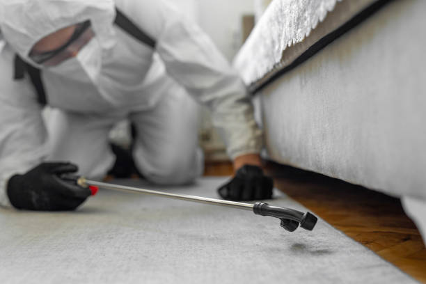 Professional Pest Control technician working in Cass County County, IL